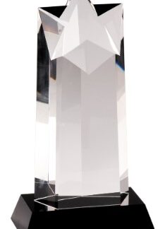 Crystal Star Column on Black Pedestal Base