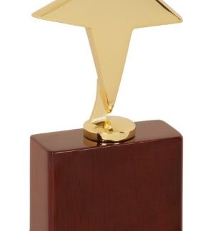 Gold Star Award on Rosewood Piano Finish Base
