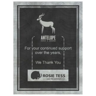 Smoke/Silver Chrome Victory SunRay Plaque Plate