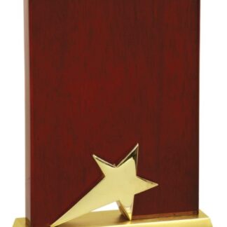 Standing Star Plaque with Gold Metal Base