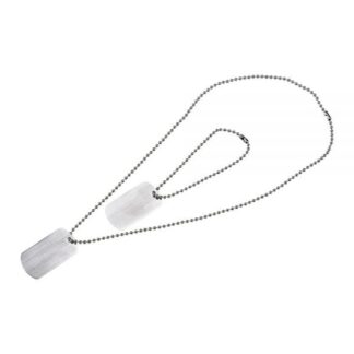 SET OF 2 DOG TAGS WITH CHAINS