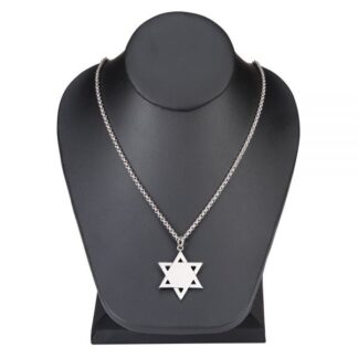 Stainless Steel 1.375" Star of David Necklace with 18" Stainless Steel Chain